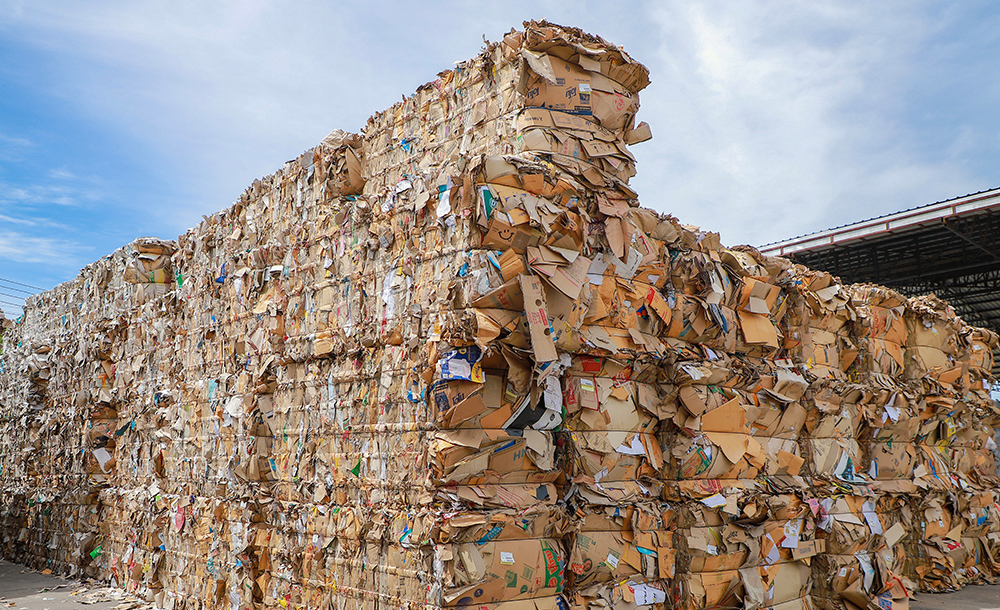 981d8375-4c4b-4a1f-b67e-1202c3f77ac3